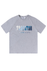 Gray / S / T-Shirt