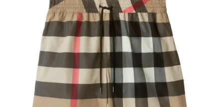 Check Swim Shorts