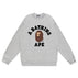 S / W007 gray