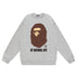 S / W223 gray
