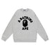 S / W001 gray