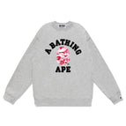 W169 Grey Pink
