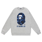 W081 gray-blue