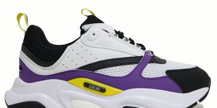 Dior B22
