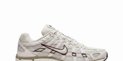 Nike P-6000