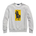 S / L010 Ash
