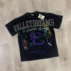 V581 black
