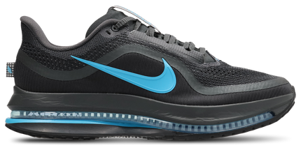 Nike Pegasus Premium