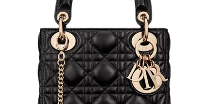 Dior Handbag