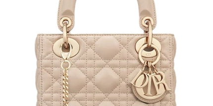 Dior Handbag