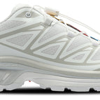 White-White-Lunar Rock