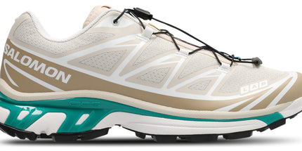 Salomon XT-6